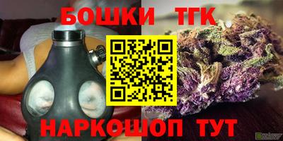 тгк Моздок
