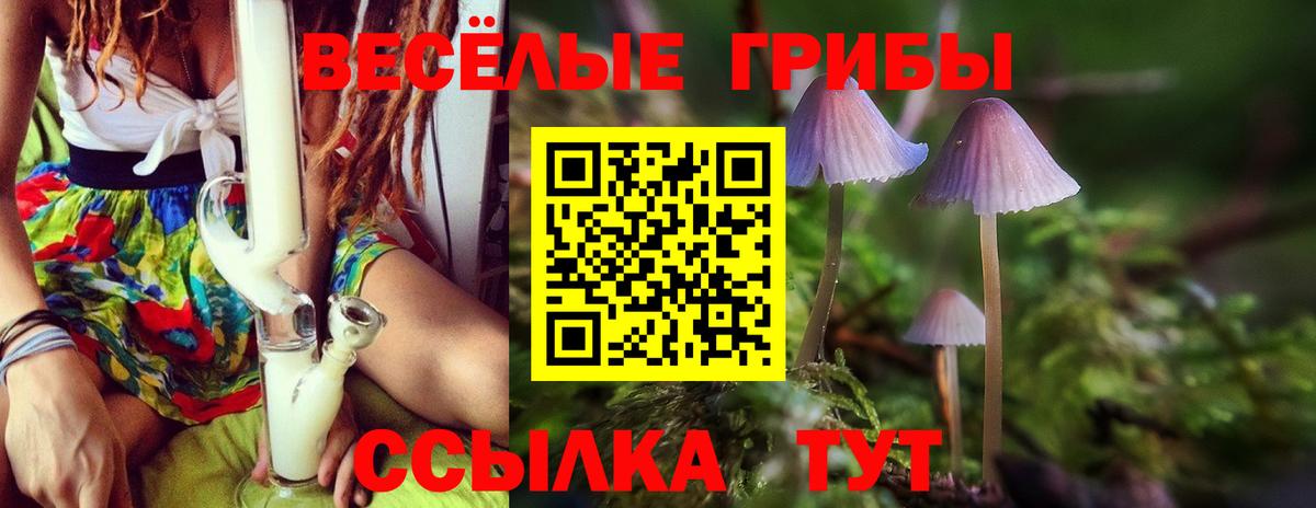 Галлюциногенные грибы Cubensis  Вход с VPN  Галлюциногенные грибы Psilocybe  Усолье-Сибирское 
